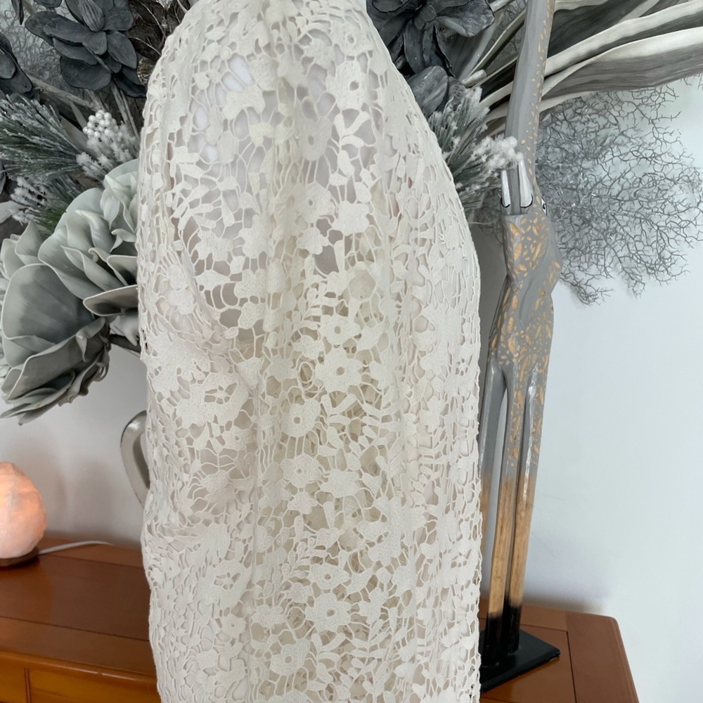 Ann Taylor Lace Dress - Picture 5 of 6